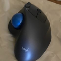 Mouse