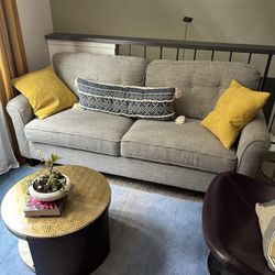 Grey Couch Love Seat