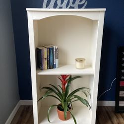 Furniture Shelf 