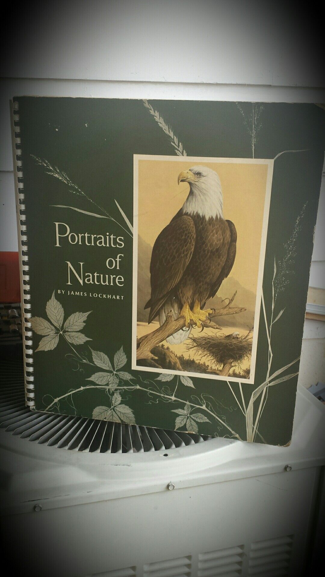 Portraits of Nature, James Lockhart,