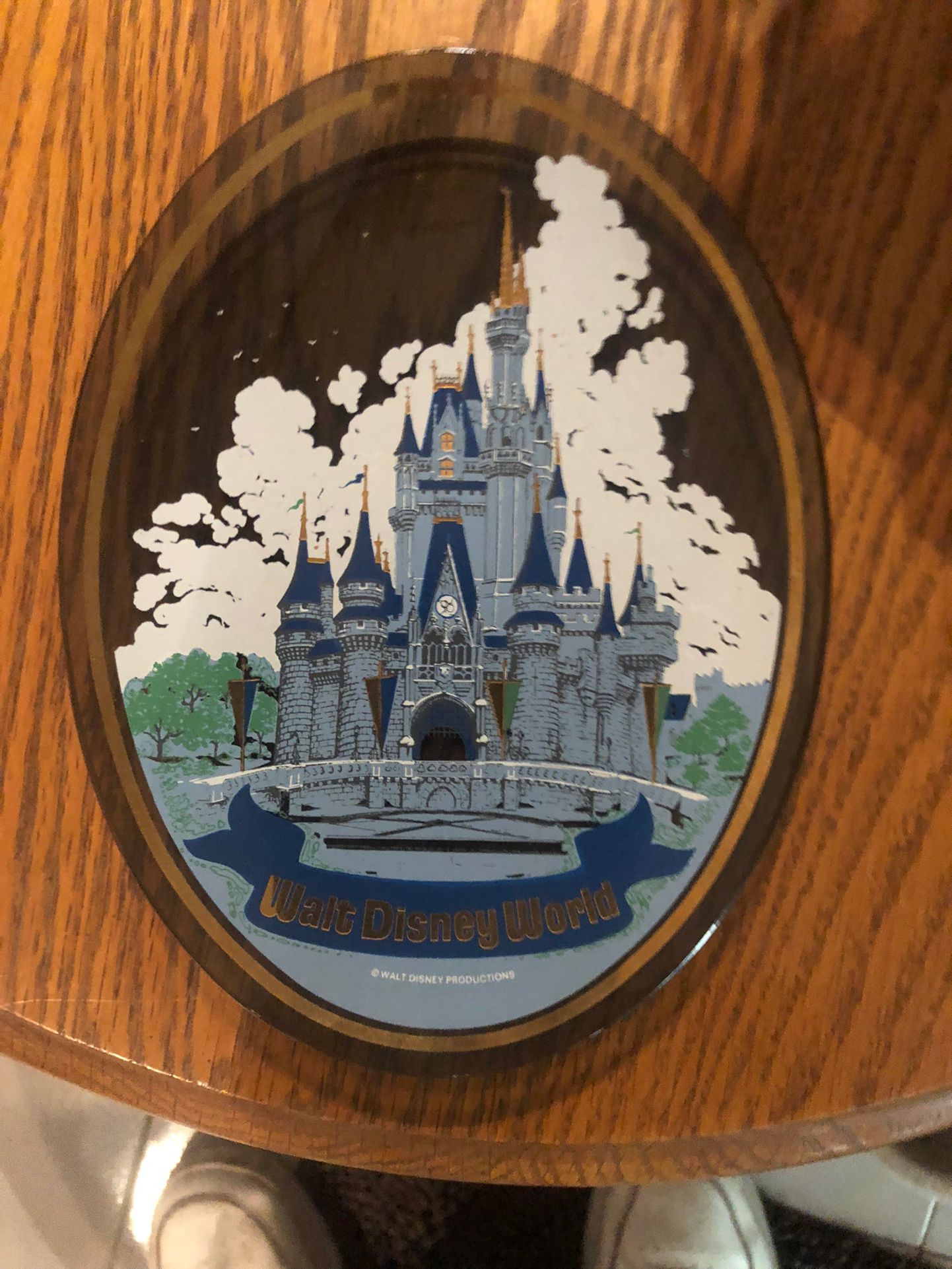 Authentic Vintage Walt Disney World, Magic Kingdom Glass Plate/ Dish