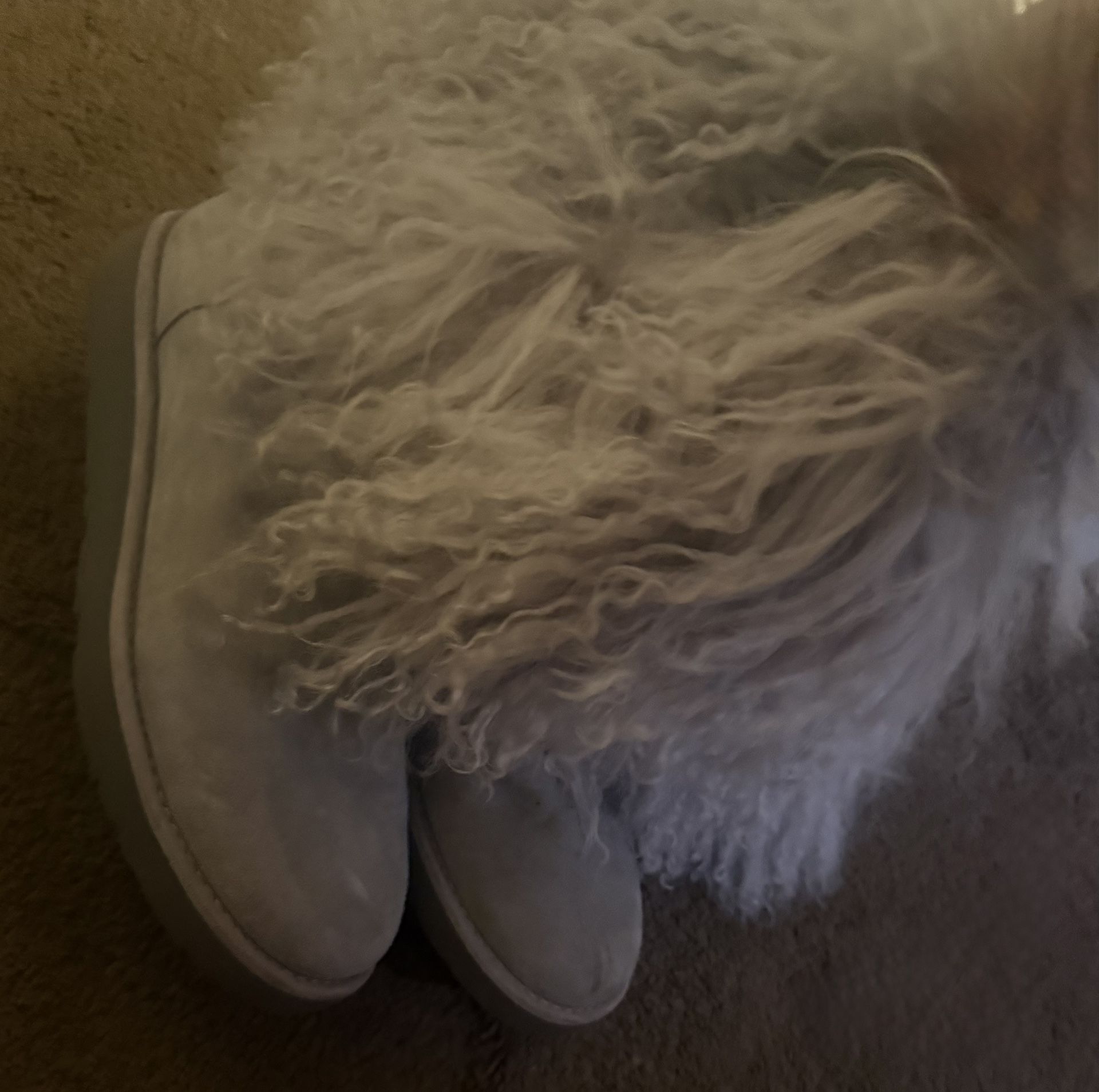 Fur Ugg Boots