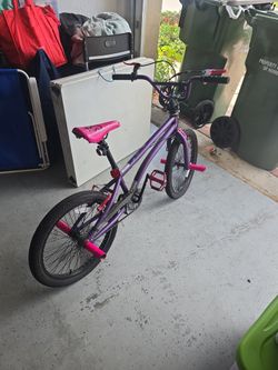 Girls Bike Pink And Purple 20in