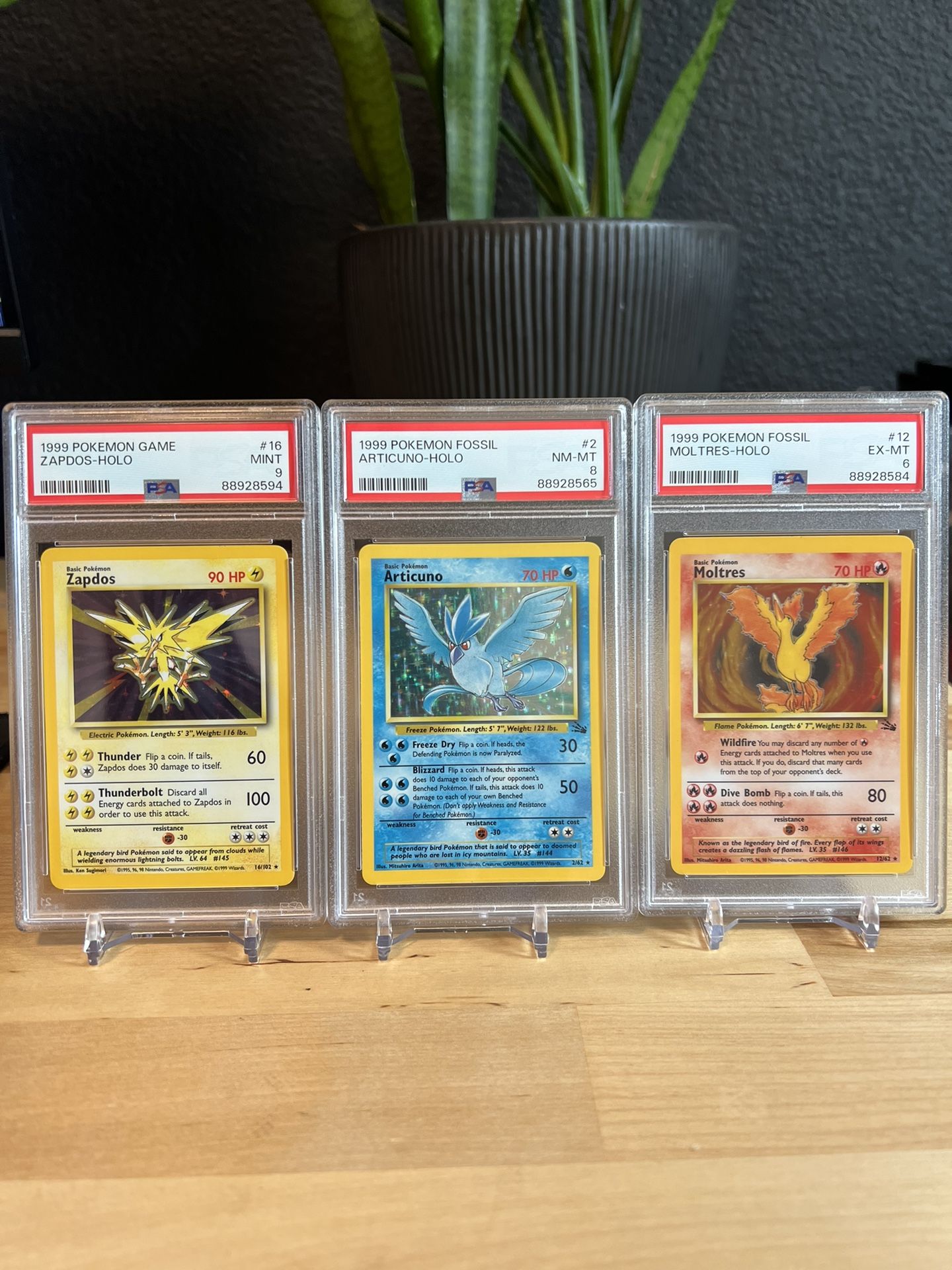 Zapdos Articuno Moltres - 1999 Vintage Pokemon PSA Graded Slabs - Legendary Bird Set