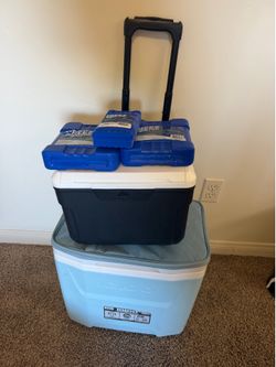 2 cooling boxes with ice packs
