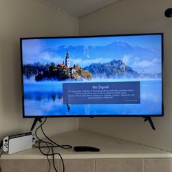 LG TV + Mount
