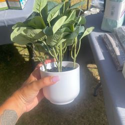 Fake Plant