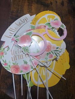 Lemon Pink Picture Props