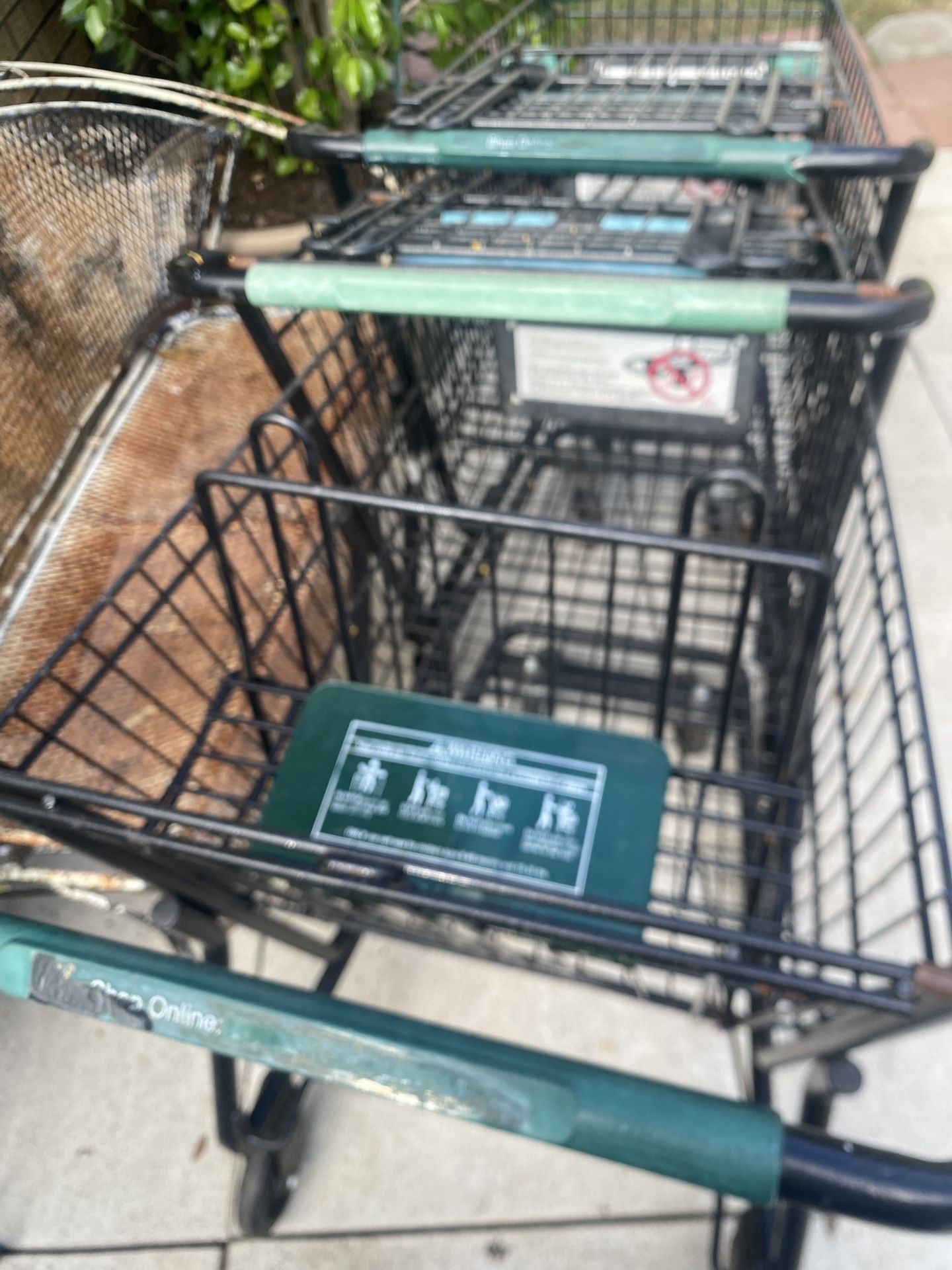 SHOPPING CARTS W/ Baby Seat.