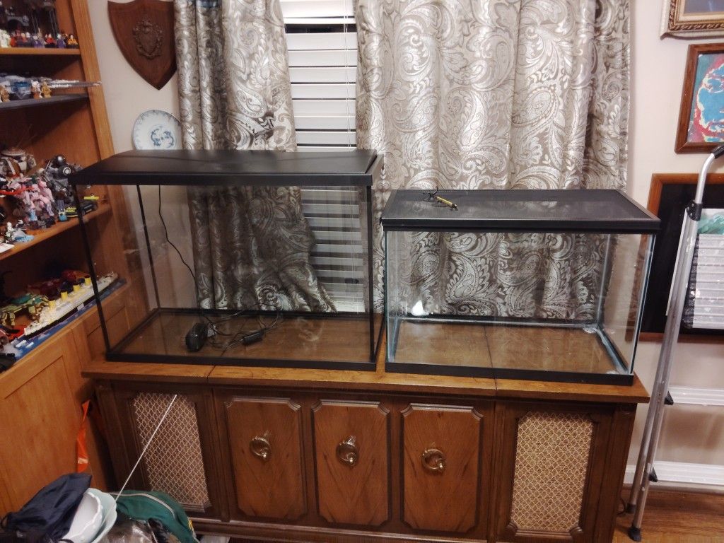 Fish Tank And Terrarium
