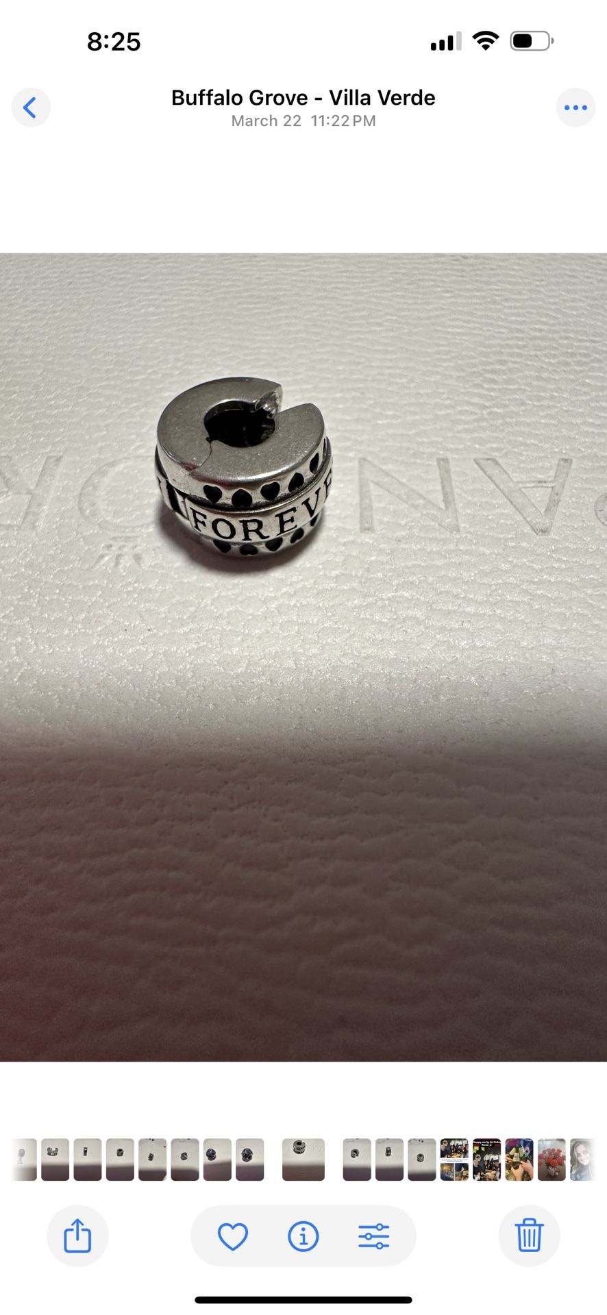 Pandora Clip Charm Family