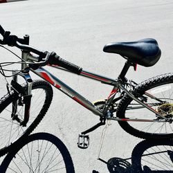 Nishiki Mountain Bike