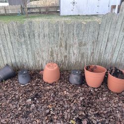 Plant Containers 