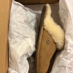 Ugg Scuffette Woman’s Slides