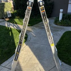 Gorilla Ladder 22 Foot Reach