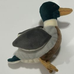 TY Beanie Babie Jake The Duck With Errors Rare Retired NWT Great Condition 
