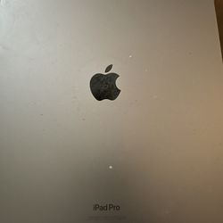 iPad 