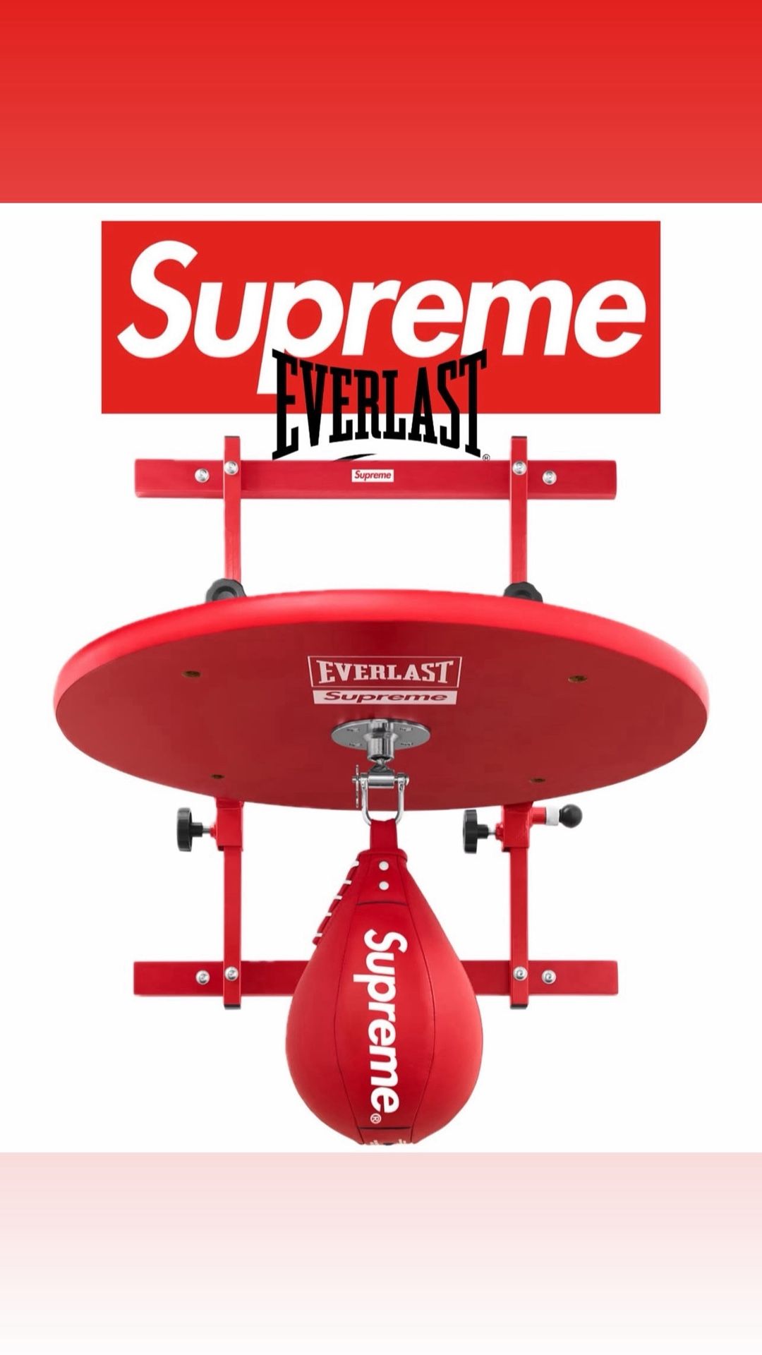 Supreme Everlast Speed Bag + Platform