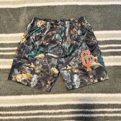Crisp NYC Shorts, Size Large