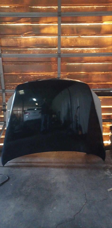 04 vw touareg hood dark green