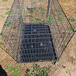 Large Dog Crate 