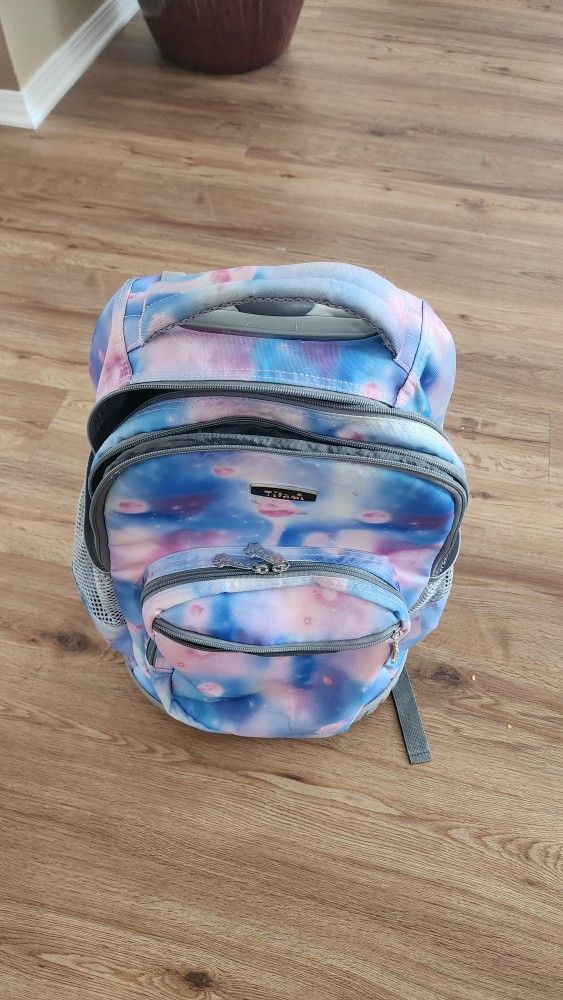 Backpacks 2 With Wheels One Carry On $20.00 Each