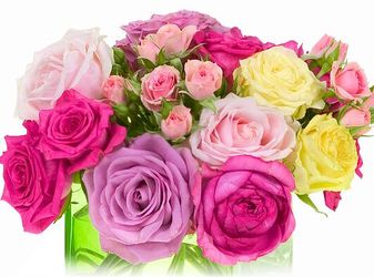 Centerpieces starting at $50