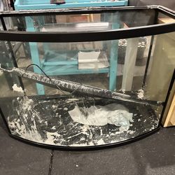 Large Curved Fish tank With Pump And Other Accessories 