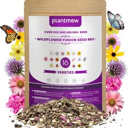 200,000 Wildflower Seeds