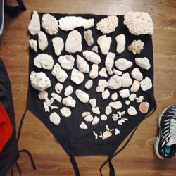 Coral Rock Live Rock 