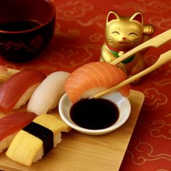 Noteworthy 2000s Cheater Chopsticks Bamboo 4-Pack in Brown Brocade Case, 9”, NEW