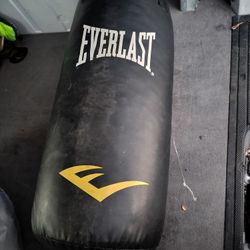Everlast core 40 pound heavy bag for boxing and mixed martial arts ( not firm on price)