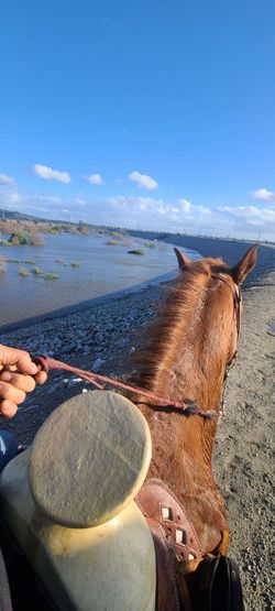 Horse riding