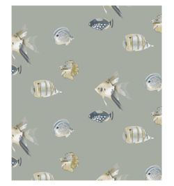 Harlequin Anthozoa wallpaper collection in Kamanu fish