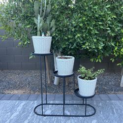3 Pots With Plants, Pots And Pot Holder 