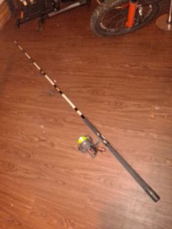 Fishing pole and  reel
