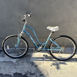 Townie Bike