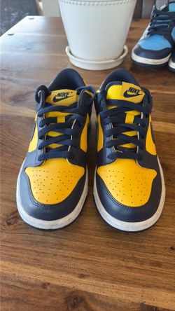 Nike Dunk size 5.5Y