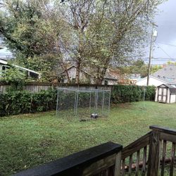 Extra Large Dog Cage
