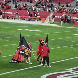  Cardinals Vs Jaguars 