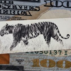 White Exotic Tiger Poster