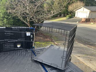 Large Medium Dog Kennel Crate Collapsible in Good Condition 36” L by W 22” H “24