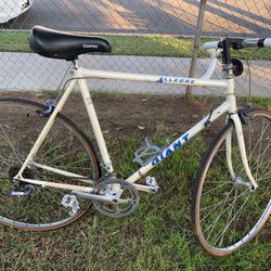 Giant Road Bike