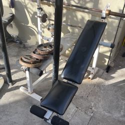 Workout Benches Cardio Bike And Squat Workout Rack 