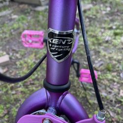 Kent 20in Bike 
