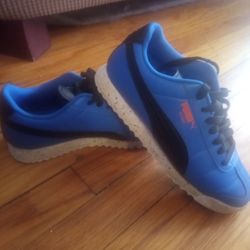 Pumas 