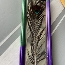 Peacock Feather Framed In Resin 