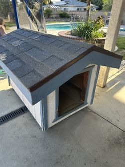 Custom built dog House