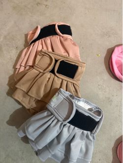 Dog clothes