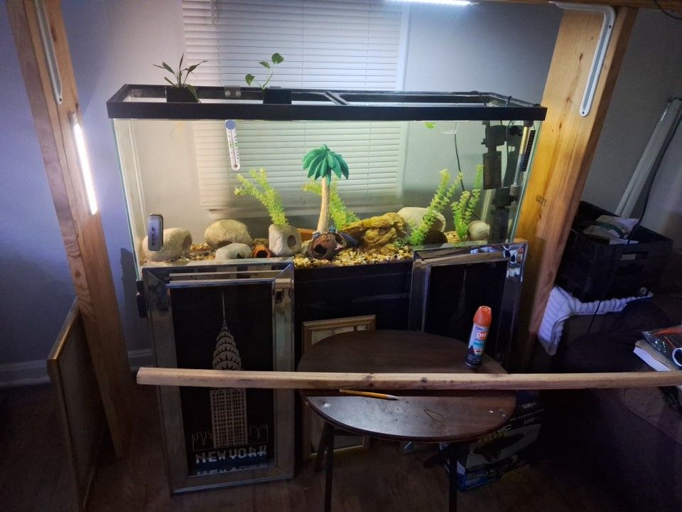 Aquariums For Sale